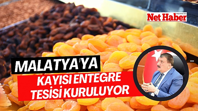 Malatya'ya Kayısı Entegre Tesisi kuruluyor