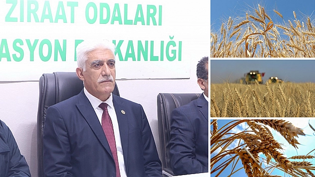Malatya Ziraat Odaları: Hububat alım fiyatları maliyetleri karşılamadı