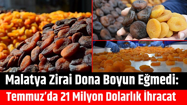 Malatya Zirai Dona Boyun Eğmedi: Temmuz'da 21 Milyon Dolarlık İhracat