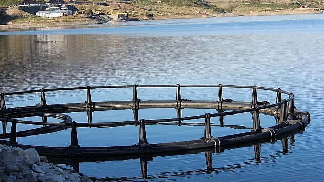 Malatya'dan havyar İhracatı