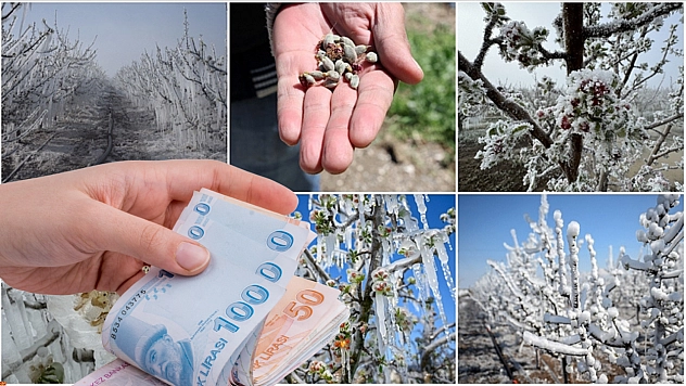 Malatyalı çiftçilere müjde: 22 milyar liralık zirai don desteği hesaplarda