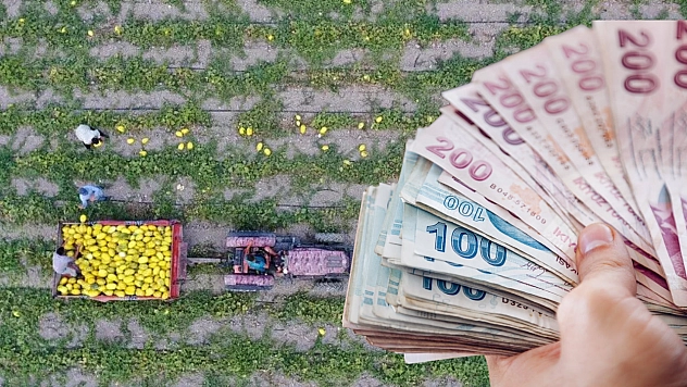 Malatyalı çiftçiye nefes aldıracak destek! Ödemeler başladı…