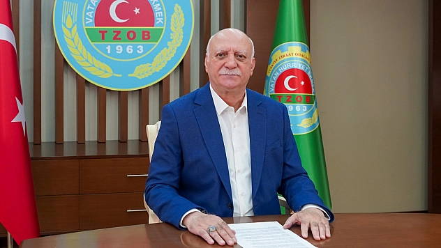Malatyalı üretici kaybediyor: Kuru kayısıda tarladan markete fiyat uçurumu