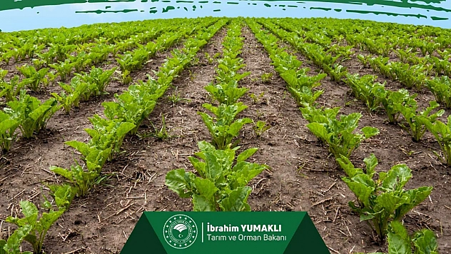 Malatyalı üreticilere müjde! 2. Avans ödemeleri hesaplarda