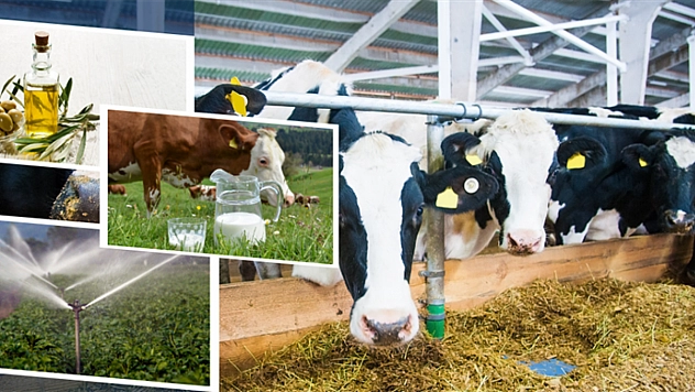 Malatyalı Üreticiye Can Suyu: 2 Milyar TL Hesaplara Aktarıldı…