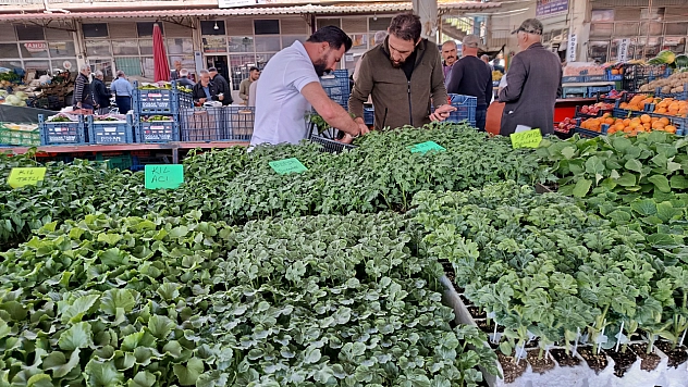 Malatyalılar enflasyona çözüm buldu! Artık herkes kendi domates biberini ekecek...