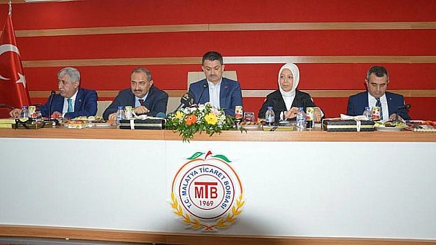 Kayısı TMO'da