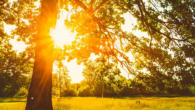 Meteoroloji tarih verdi! Malatya'da güneş yine yüzünü gösterecek!