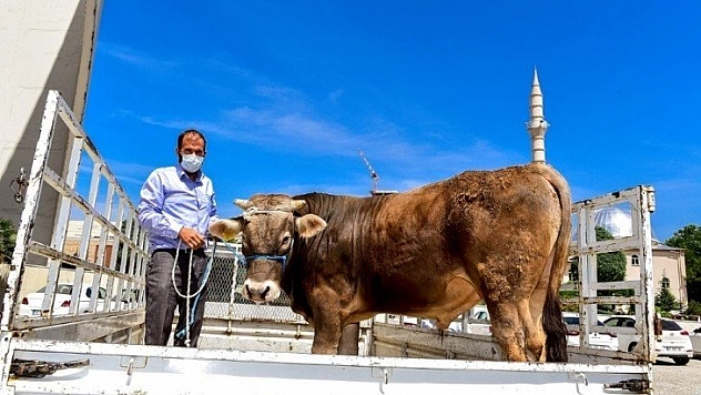 Milli Dayanışma Kampanyası'na anlamlı destek