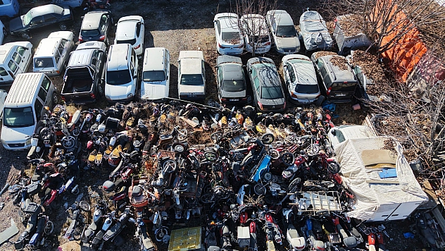 Milyonluk araçlar yosun tuttu