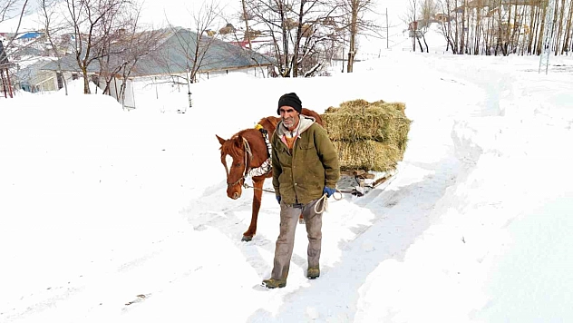 Muş'ta besicilerin imdadına atlı kızaklar yetişti