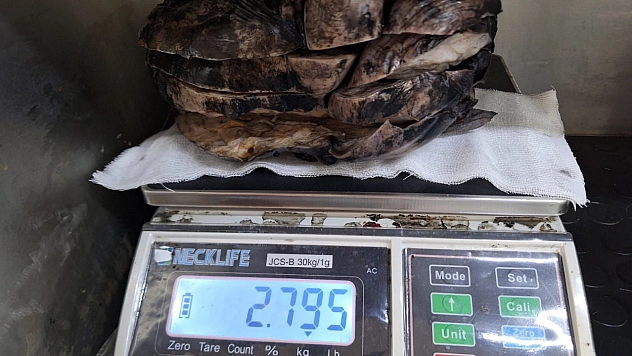 Nefes darlığı sandı: 3 kilogram tümör tespit edildi