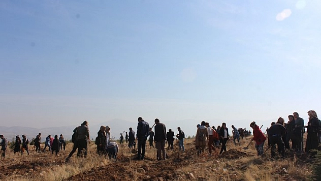 1000 fidanla 'Geleceğe Nefes' oldular