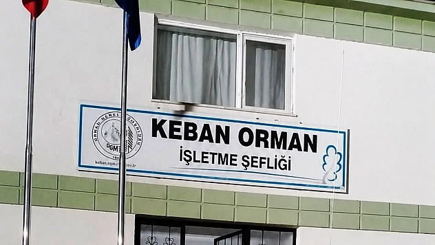 Orman yangınları için kritik günler: Yetkililerden peş peşe uyarı