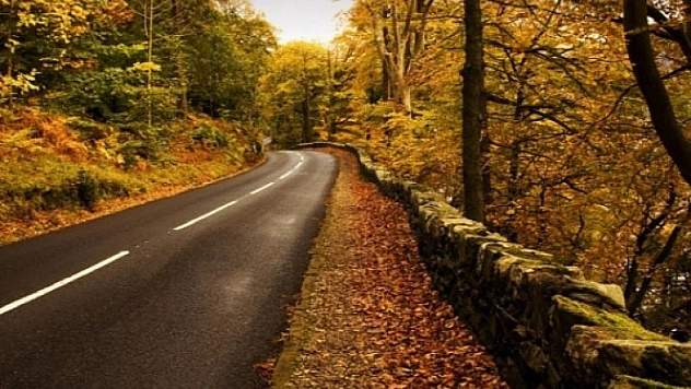 Orman yolu yaptırılacak