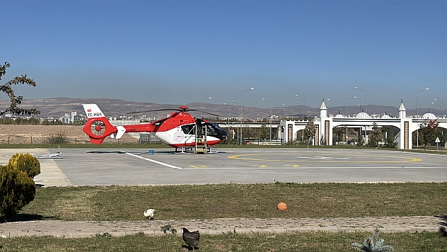 Ormanda ayı saldırısına uğradı, tedavi altına alındı