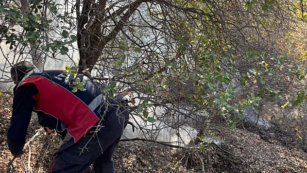 Ormanlık alanda korkutan yangın
