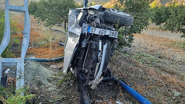 Otomobil meyve bahçesine daldı! Yaralılar var...