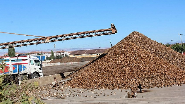 Pancar üreticisine avans 