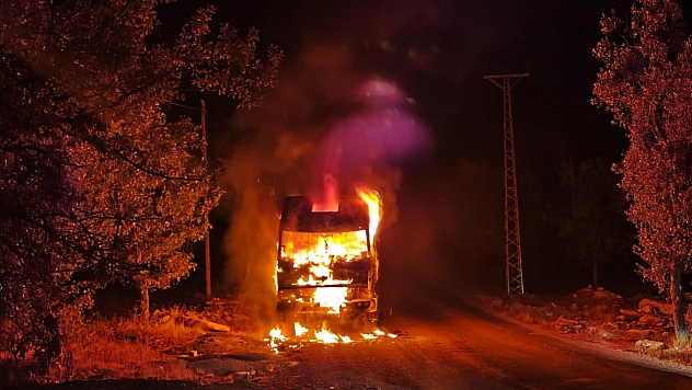 Park halindeki kamyon cayır cayır yandı