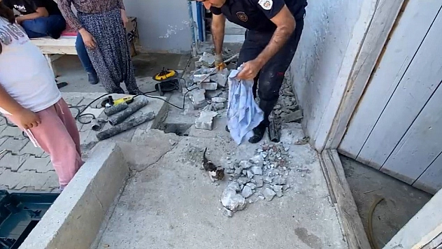 Malatya'da bahçeden gelen sesler itfaiye ekiplerini harekete geçirdi!