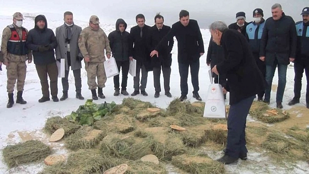 Yaban hayvanları unutulmadı