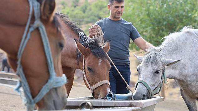 Rahvan at geleneği yeniden hayat buluyor