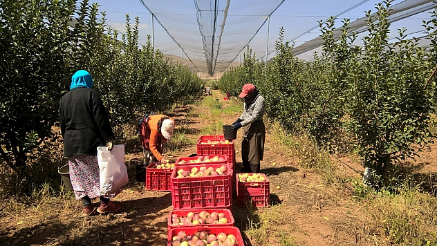 Resmi Gazete'de yayımlandı! 2027 tarım destekleri belli oldu| Malatya'da ürün deseni şekillendi...