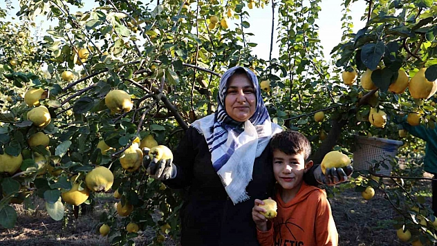 Kahramanmaraş, Ruslara ayvayı yedirdi