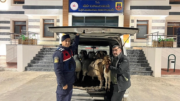 Sahte parayla üreticiyi dolandırdılar