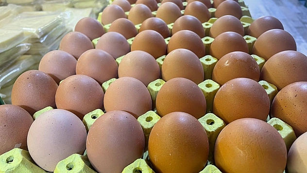 Sanayinin Yeni Gözdesi: 'Yumurta Kabuğu'