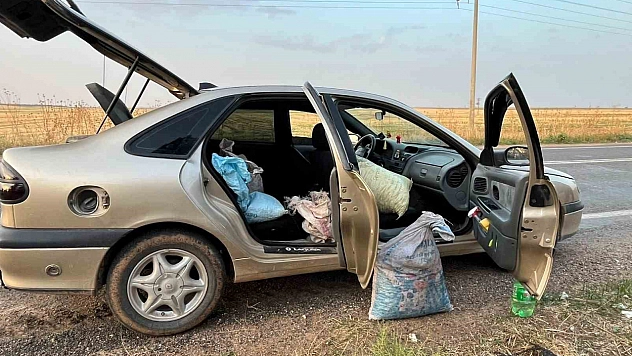 4 fıstık hırsızı suçüstü yakalandı