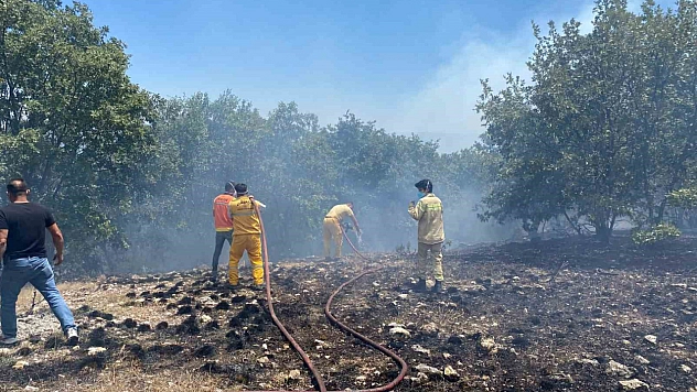 Seyitgazi'deki orman yangını kontrol altına alındı