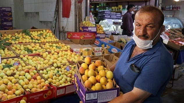 Son kayısılar tezgahlarda