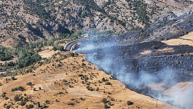 Sivas'ta yangın