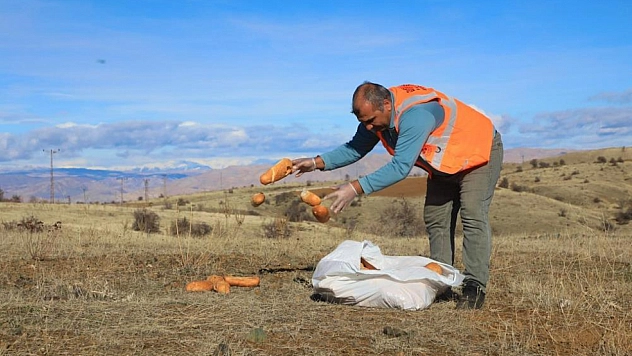 Sokak ve yaban hayvanları için doğaya yem bırakıldı