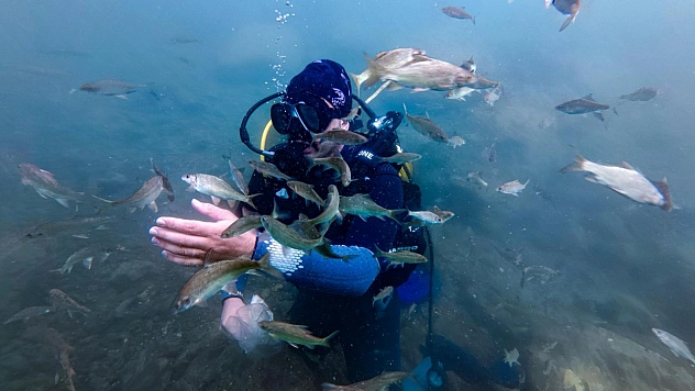 Su altında saklı tarih gün yüzüne çıkıyor