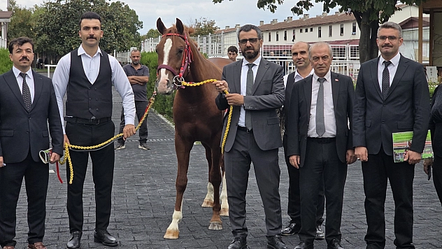 Sultansuyu'nun tayları 51,6 milyon TL'ye satıldı