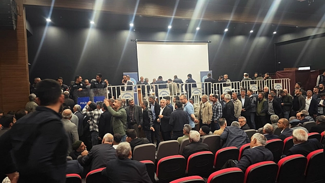 Taneli güven tazeledi