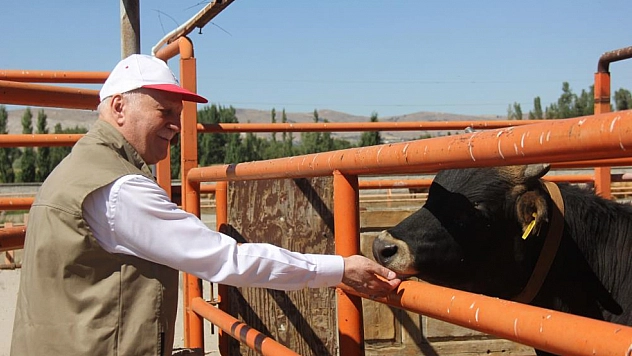 Tarım için alarm zilleri çalıyor: Kuraklığa dayanıklı ürünlere geçilecek