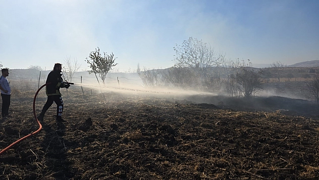 Tarlada çıkan yangın söndürüldü