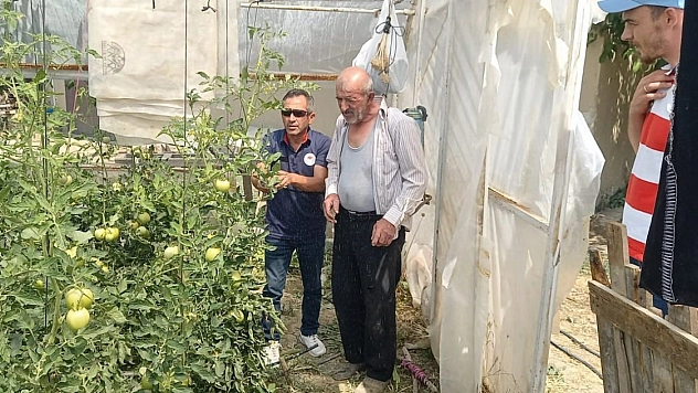 Seralarda bitki hastalık ve zararlı kontrolleri