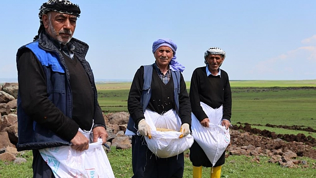 Tescilli Karacadağ pirincinde ekim sezonu başladı