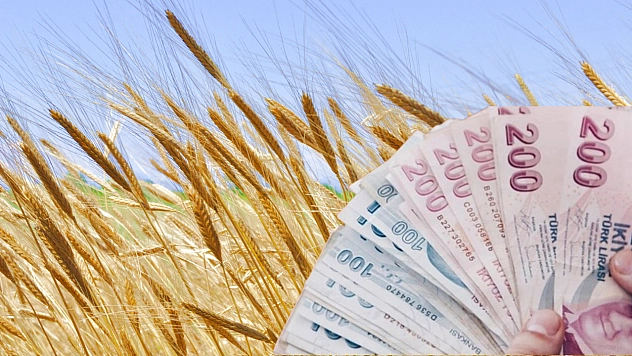 TMO'dan üreticilere 120 milyar liralık ödeme