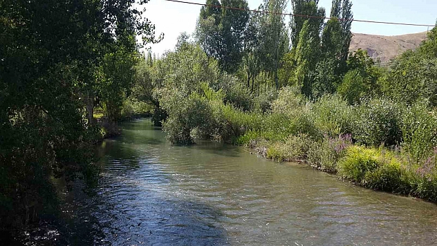Tohma Çayı'nda gizli tehdit: Uluslararası araştırmalarla gün yüzüne çıktı