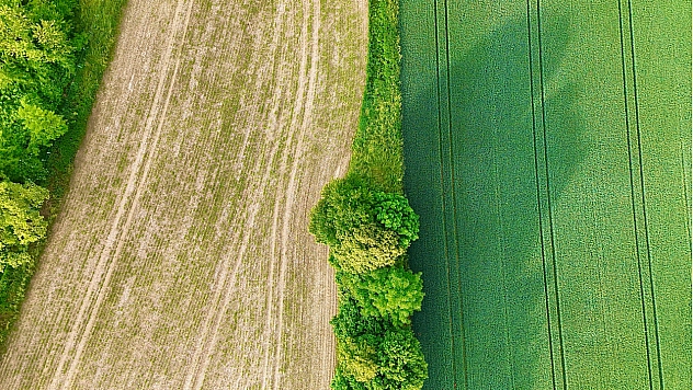 TOKİ Malatya'da açık artırmayla arsa satacak