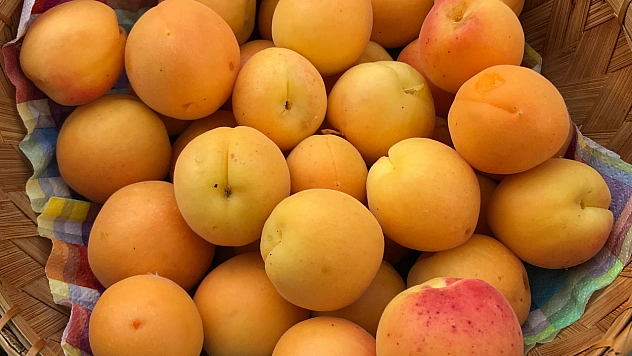 Türkiye 7 üründe dünyada lider, Malatya kayısısı açık ara zirvede