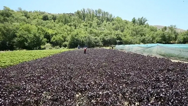 Türkiye'nin huzur veren ilçeleri belli oldu: Listede Malatya'dan da bir ilçe var