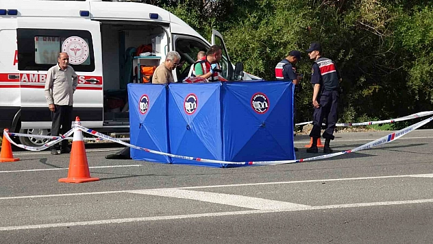 Tuvalet ihtiyacı için yolun karşısına geçerken can verdi: Kaza anı kamerada