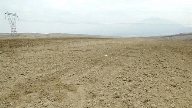 Mera ve yaylaklar kiralanacak